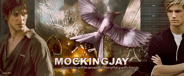 Hunger Games Mockingjay title