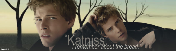 Mockingjay Peeta's Memory