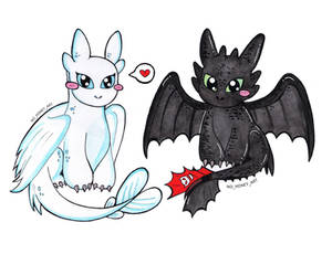 Toothless x Light fury