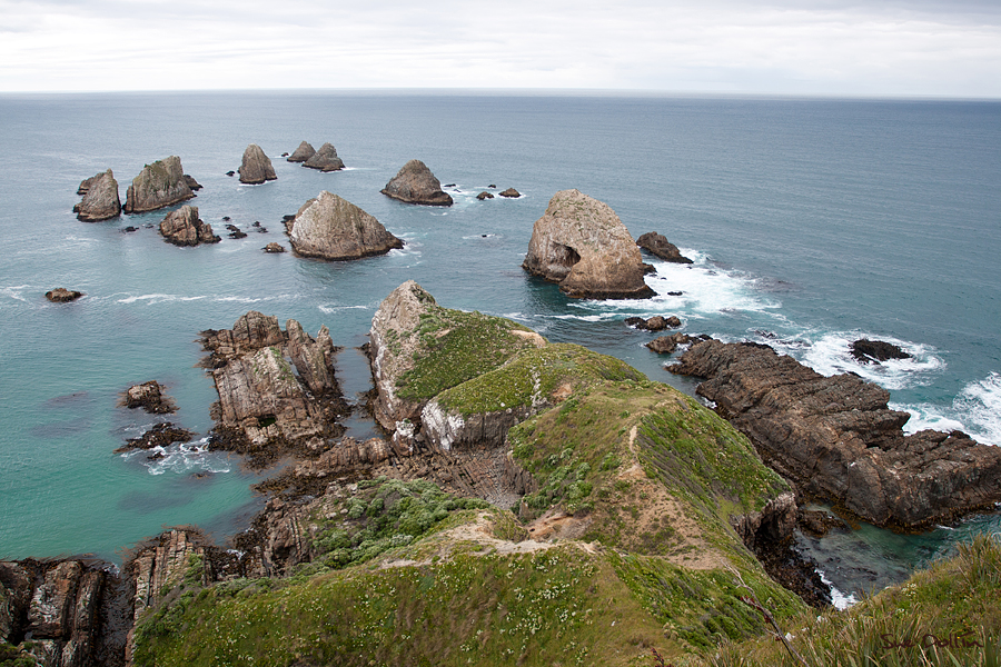 Nugget Point