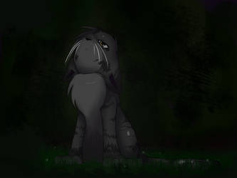 .:Graystripe In The Dark Forest:.