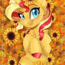 Of Sunflowers and Sunsets