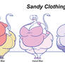 Sandy Clothing Study