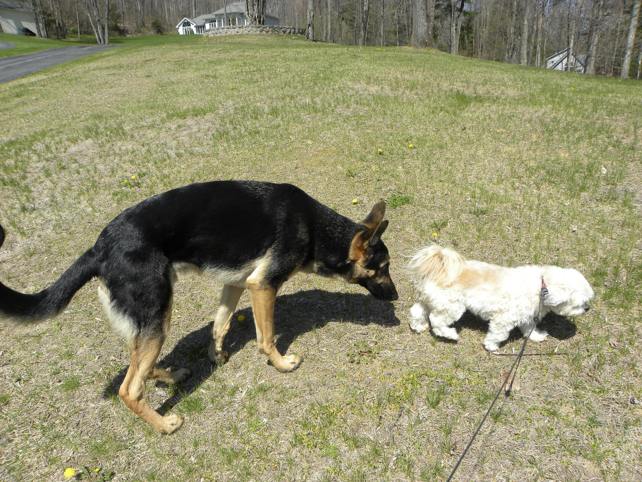 Ruger greets Truman