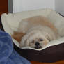 Tired
