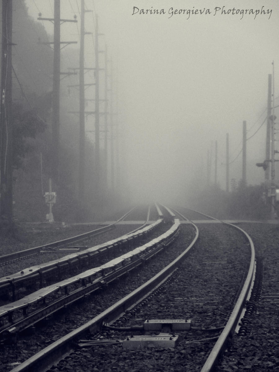 Railroad tracks in the fog