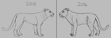 Lion Anatomy Improvement