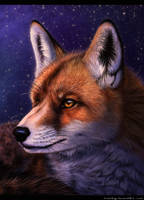 Red Fox