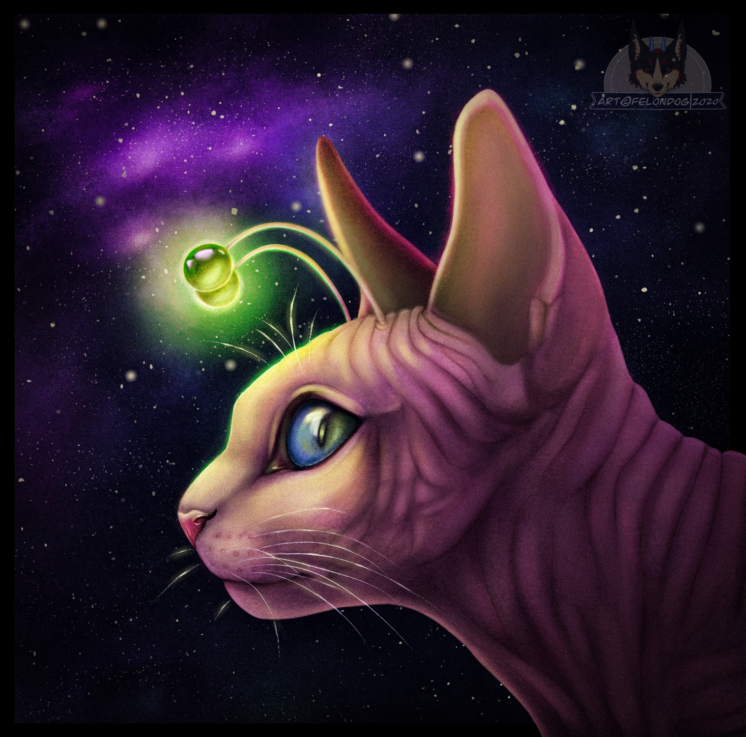 Alien Cat by FelonDog on DeviantArt