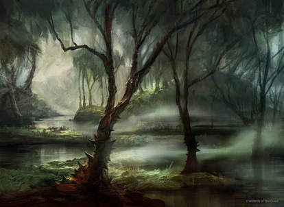 Swamp (MPS Lands)