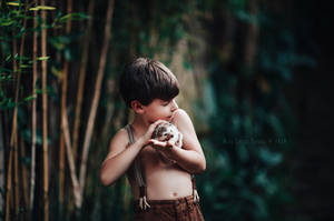 May the forest be with you by LyraWhite May the forest be with you by LyraWhite