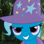 Trixie forest