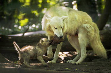 Sharing with a little one