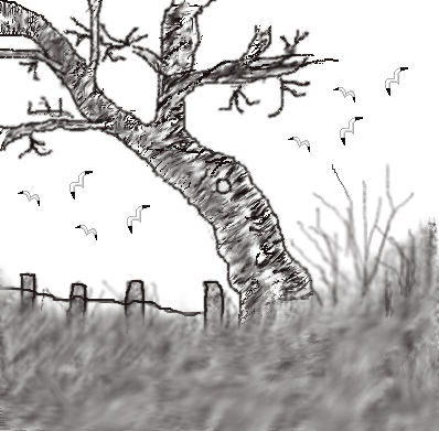 Cold Solitude by ayashazoelle on DeviantArt