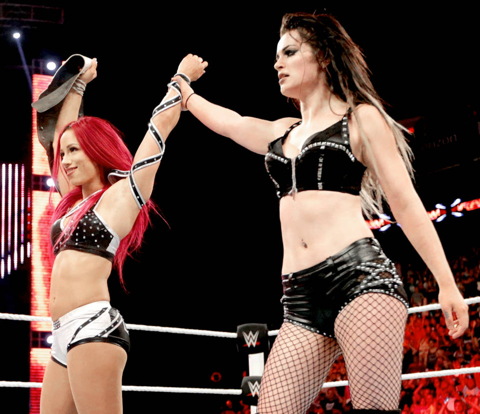 Sasha Banks and Paige by WWE-WOMENS02 on DeviantArt.