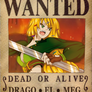 Wanted - Iron Witch + info