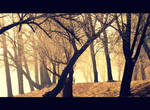 Misty Morning 11 - Sun and mist! Gold spring. by etr-wroclove
