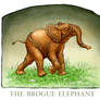 The Brogue Elephant