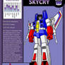 CITIZENS OF CYBERTRON - DECEPTICON SKYCRY