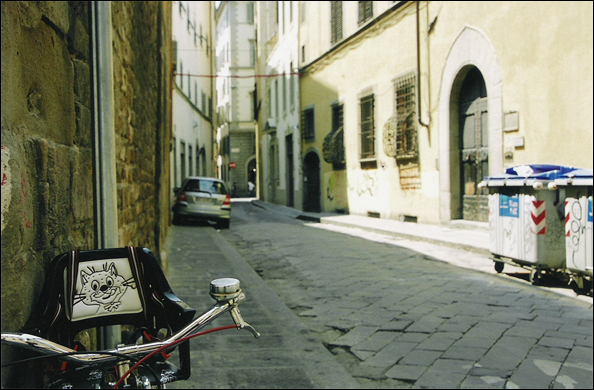 Cat and Bike