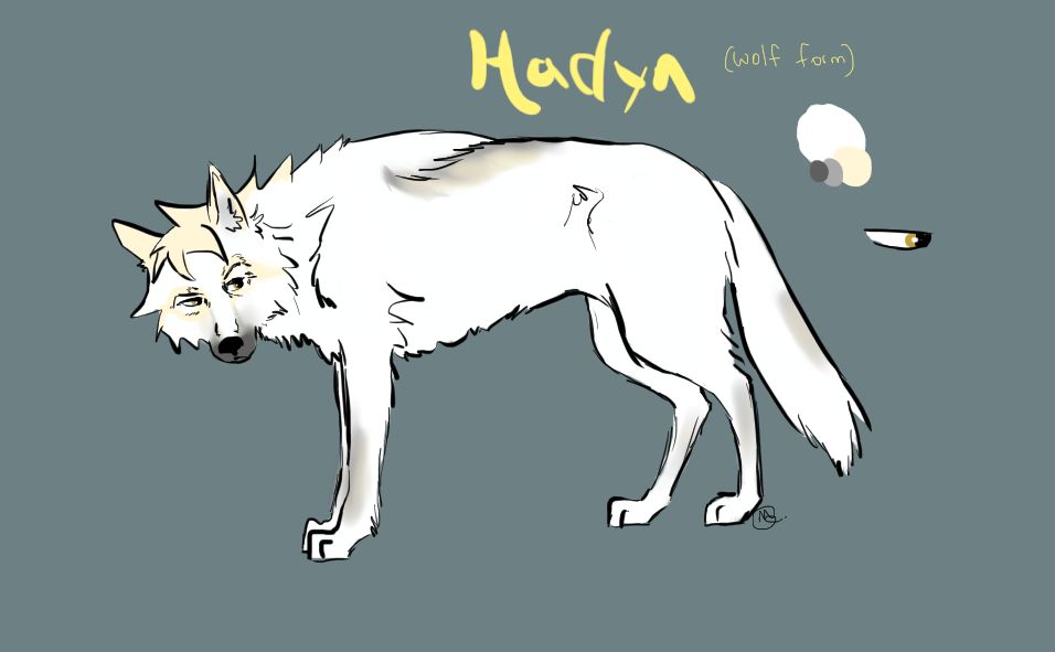 Hadyn Wolf Reference