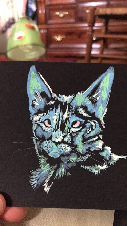 Cat done with Paint Pens