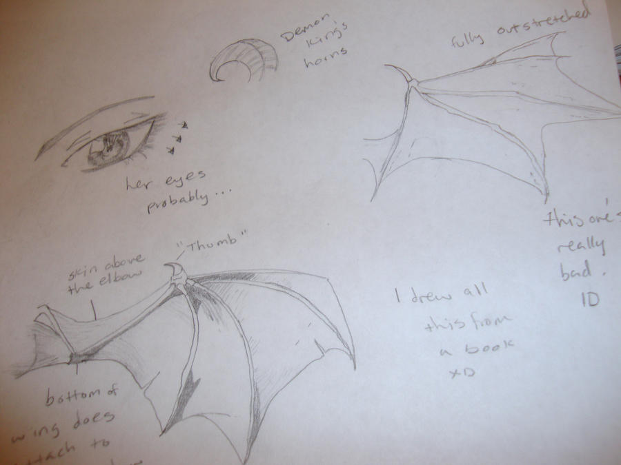 Deviantart Bat Winged Bat Wings by Kari743 on DeviantArt