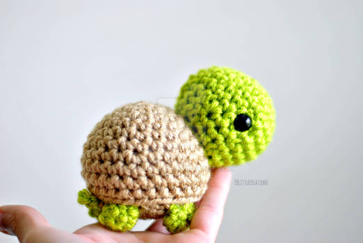 Lil Turtle