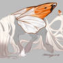 CLOSED Equine Adopt | Orange tip butterfly