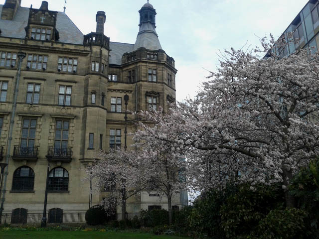 The Blossom Tree and The Building