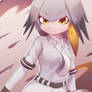 Shoebill ~