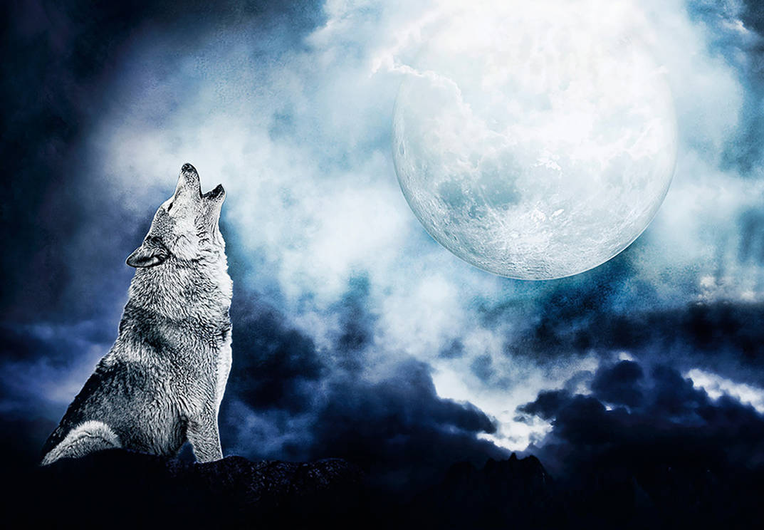Howling Wolf by zzzjona on DeviantArt