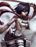 Mikasa by Shaiyan