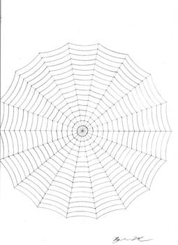 spiderweb