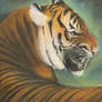 Siberian Tiger - Oil Pastels