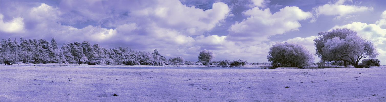 Jamesmore pond.