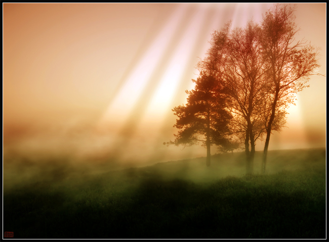 Mist and rays