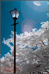 Lamp post by monkeyheadmushroom