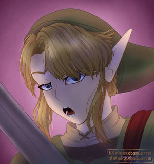 Link - Twilight Princess 