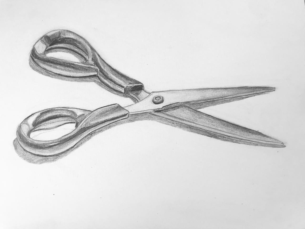 Scissors, day 1 of drawing from life by MikeeyArts on DeviantArt