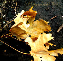Amber Leaves