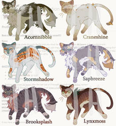 Cat Designs Auction on ToyHouse | 6/6 OPEN