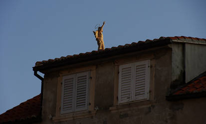 Walk on the roof