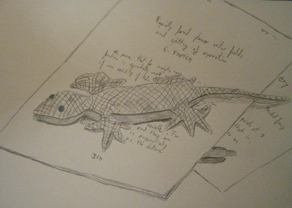Mathematical Lizard by RBerenguel on DeviantArt
