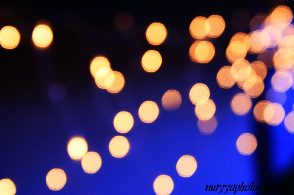 Christmas Lights