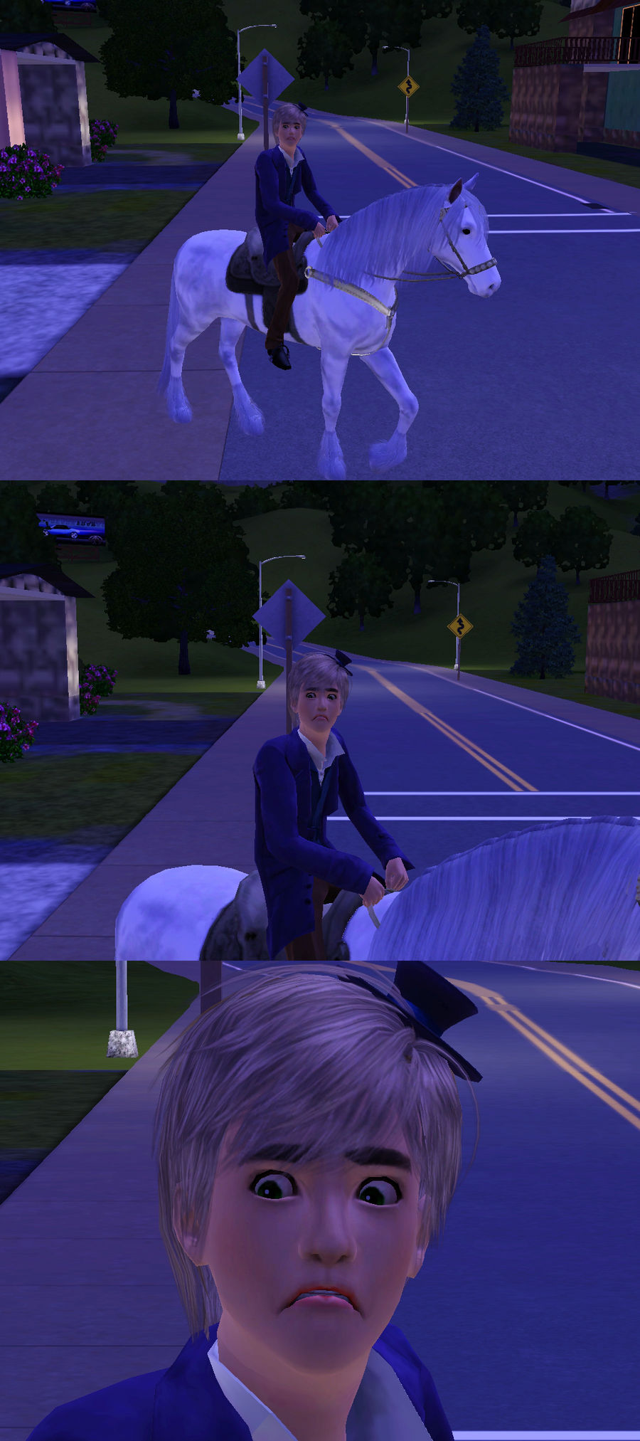 Sims 3: England does not like horses