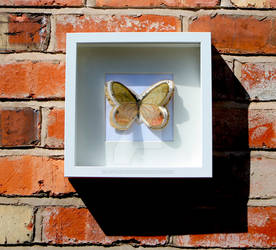Paper Layered Small Frame Wall Art