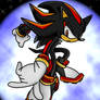 Shadow the Hedgehog