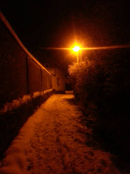 Snowy lane at night.