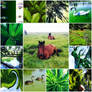 'GREEN' Collage From Previously Posted Deviations